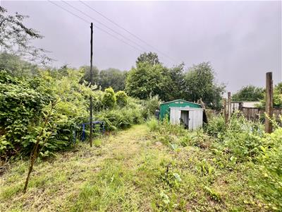 Picture 19